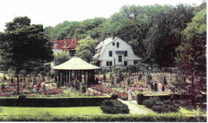 millsabout1930.jpg