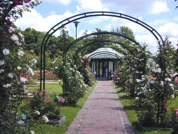 gardentrellis.jpg
