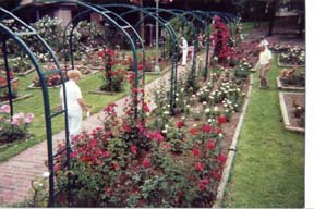 millsgarden1.jpg